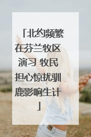 北约频繁在芬兰牧区演习 牧民担心惊扰驯鹿影响生计