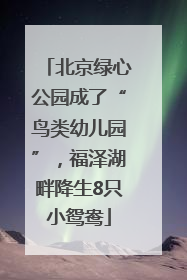 北京绿心公园成了“鸟类幼儿园”，福泽湖畔降生8只小鸳鸯