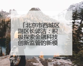 北京市西城区副区长郭洁：积极探索金融科技创新监管的新模式和新方法