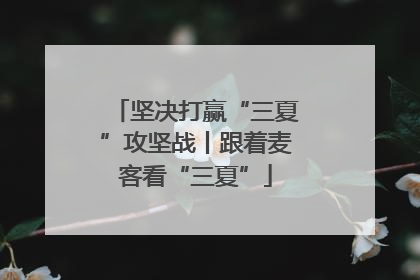 坚决打赢“三夏”攻坚战丨跟着麦客看“三夏”