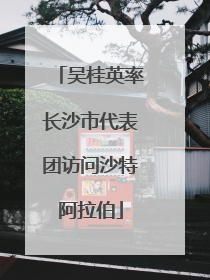 吴桂英率长沙市代表团访问沙特阿拉伯