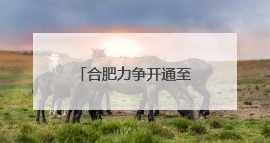 合肥力争开通至欧洲、非洲航线