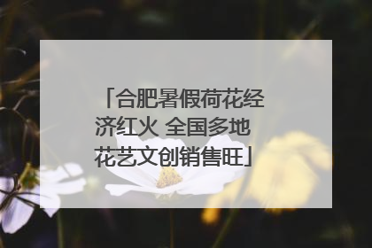 合肥暑假荷花经济红火 全国多地花艺文创销售旺