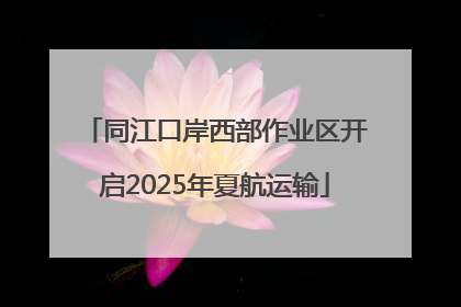同江口岸西部作业区开启2025年夏航运输