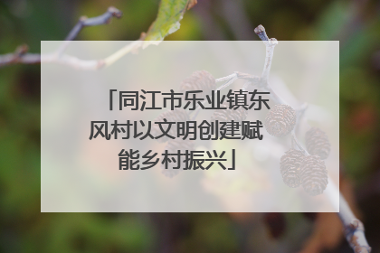 同江市乐业镇东风村以文明创建赋能乡村振兴