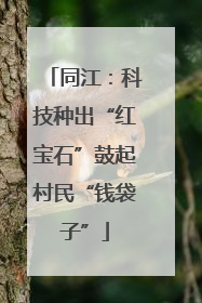 同江：科技种出“红宝石”鼓起村民“钱袋子”