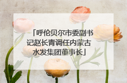 呼伦贝尔市委副书记赵长青调任内蒙古水发集团董事长