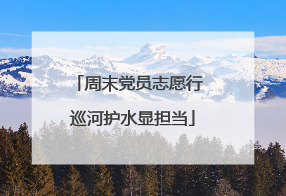 周末党员志愿行 巡河护水显担当