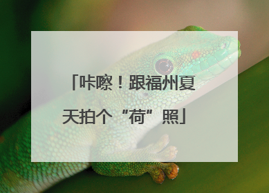 咔嚓！跟福州夏天拍个“荷”照