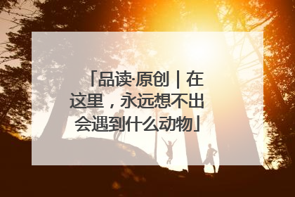 品读·原创｜在这里，永远想不出会遇到什么动物