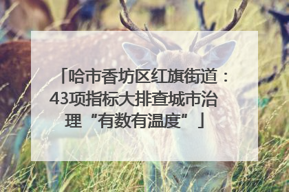 哈市香坊区红旗街道：43项指标大排查城市治理“有数有温度”