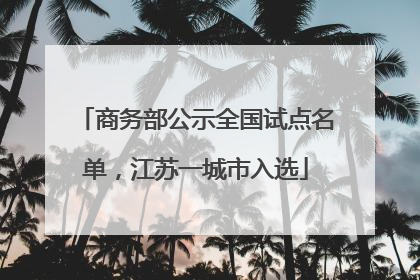 商务部公示全国试点名单，江苏一城市入选