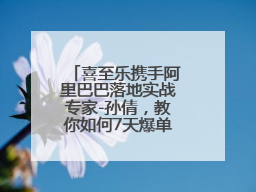 喜至乐携手阿里巴巴落地实战专家-孙倩，教你如何7天爆单逆袭跨境电商