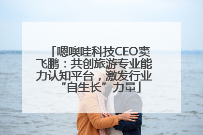 嗯噢哇科技CEO窦飞鹏：共创旅游专业能力认知平台，激发行业“自生长”力量