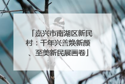 嘉兴市南湖区新民村：千年兴善焕新颜、至美新民展画卷