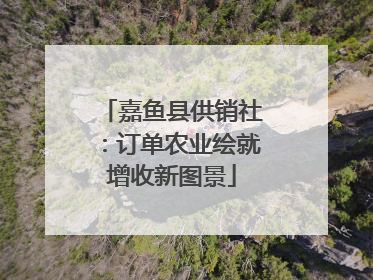嘉鱼县供销社：订单农业绘就增收新图景