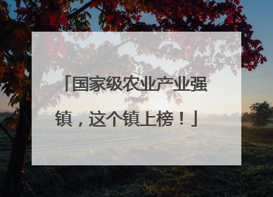 国家级农业产业强镇，这个镇上榜！