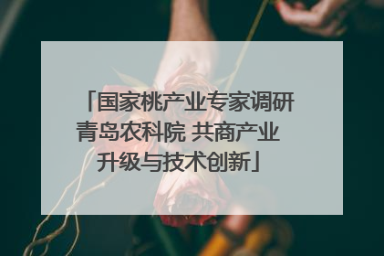 国家桃产业专家调研青岛农科院 共商产业升级与技术创新