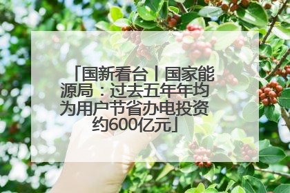 国新看台丨国家能源局：过去五年年均为用户节省办电投资约600亿元