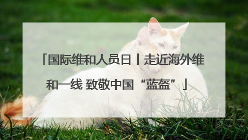 国际维和人员日丨走近海外维和一线 致敬中国“蓝盔”