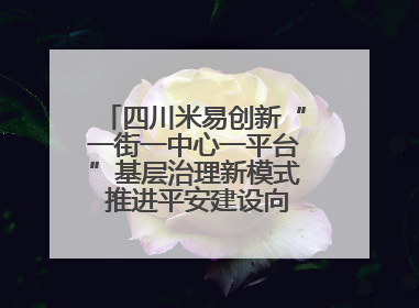 四川米易创新“一街一中心一平台”基层治理新模式 推进平安建设向更高水平迈进