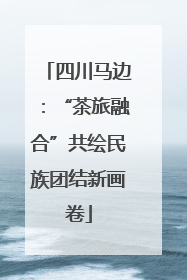 四川马边：“茶旅融合”共绘民族团结新画卷