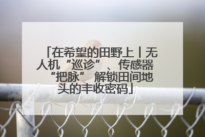 在希望的田野上丨无人机“巡诊”、传感器“把脉” 解锁田间地头的丰收密码