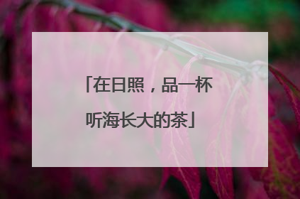 在日照，品一杯听海长大的茶