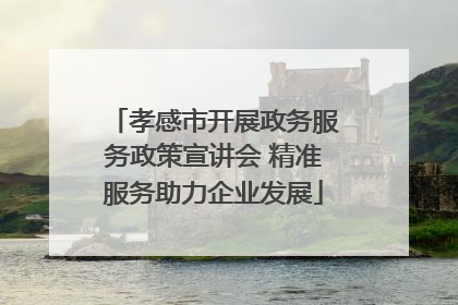 孝感市开展政务服务政策宣讲会 精准服务助力企业发展