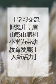 学习交流促提升，眉山彭山鹏利小学为劳动教育发展注入新活力