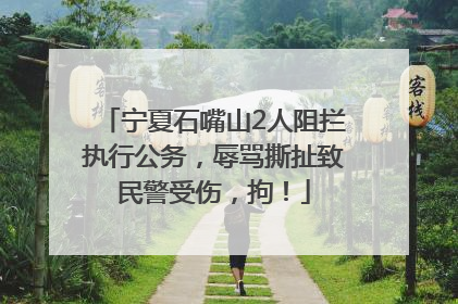 宁夏石嘴山2人阻拦执行公务，辱骂撕扯致民警受伤，拘！