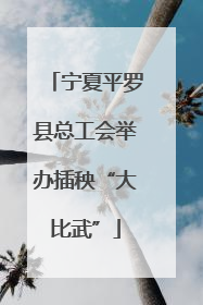 宁夏平罗县总工会举办插秧“大比武”