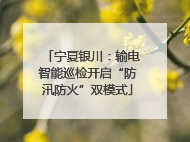 宁夏银川：输电智能巡检开启“防汛防火”双模式