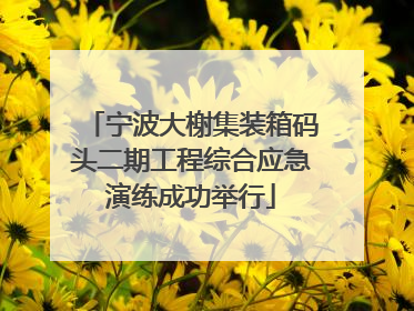 宁波大榭集装箱码头二期工程综合应急演练成功举行