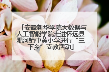 安徽新华学院大数据与人工智能学院走进怀远县淝河镇中黄小学进行“三下乡”支教活动