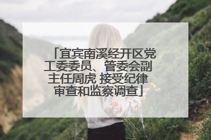宜宾南溪经开区党工委委员、管委会副主任周虎 接受纪律审查和监察调查