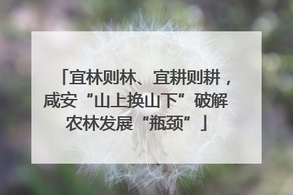 宜林则林、宜耕则耕，咸安“山上换山下”破解农林发展“瓶颈”