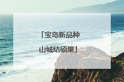 宝岛新品种 山城结硕果