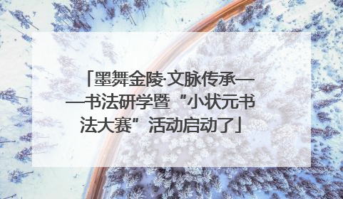 墨舞金陵·文脉传承——书法研学暨“小状元书法大赛”活动启动了