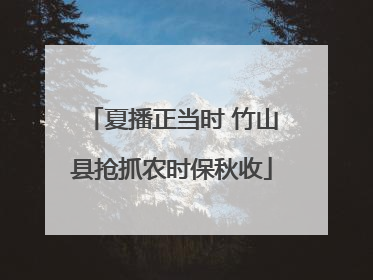 夏播正当时 竹山县抢抓农时保秋收