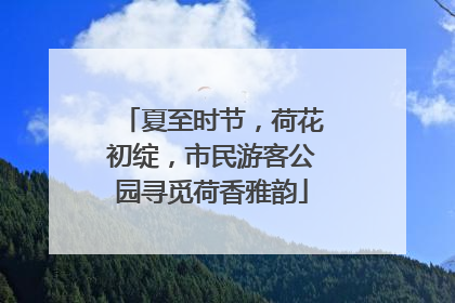 夏至时节，荷花初绽，市民游客公园寻觅荷香雅韵