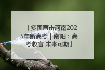 多图直击河南2025年新高考｜南阳：高考收官 未来可期
