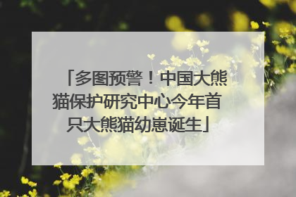 多图预警！中国大熊猫保护研究中心今年首只大熊猫幼崽诞生
