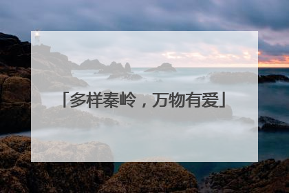 多样秦岭，万物有爱