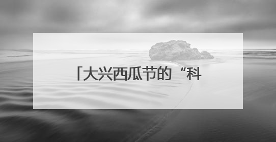 大兴西瓜节的“科技烟火气”：机器狗搬瓜、AI摊煎饼