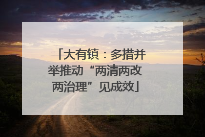 大有镇：多措并举推动“两清两改两治理”见成效