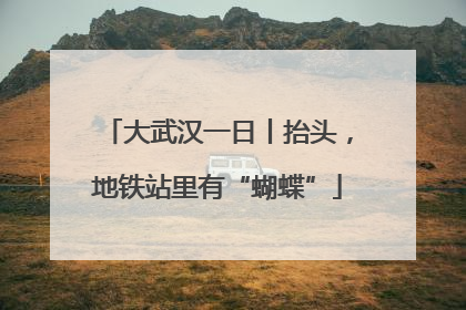 大武汉一日丨抬头，地铁站里有“蝴蝶”