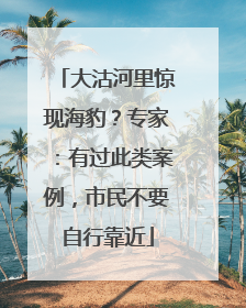 大沽河里惊现海豹？专家：有过此类案例，市民不要自行靠近