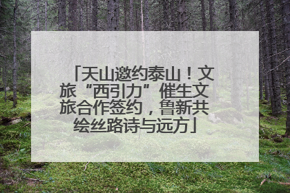 天山邀约泰山！文旅“西引力”催生文旅合作签约，鲁新共绘丝路诗与远方