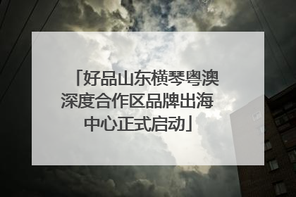 好品山东横琴粤澳深度合作区品牌出海中心正式启动